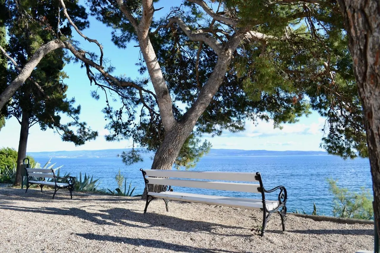 Olive Tree Apartments Split