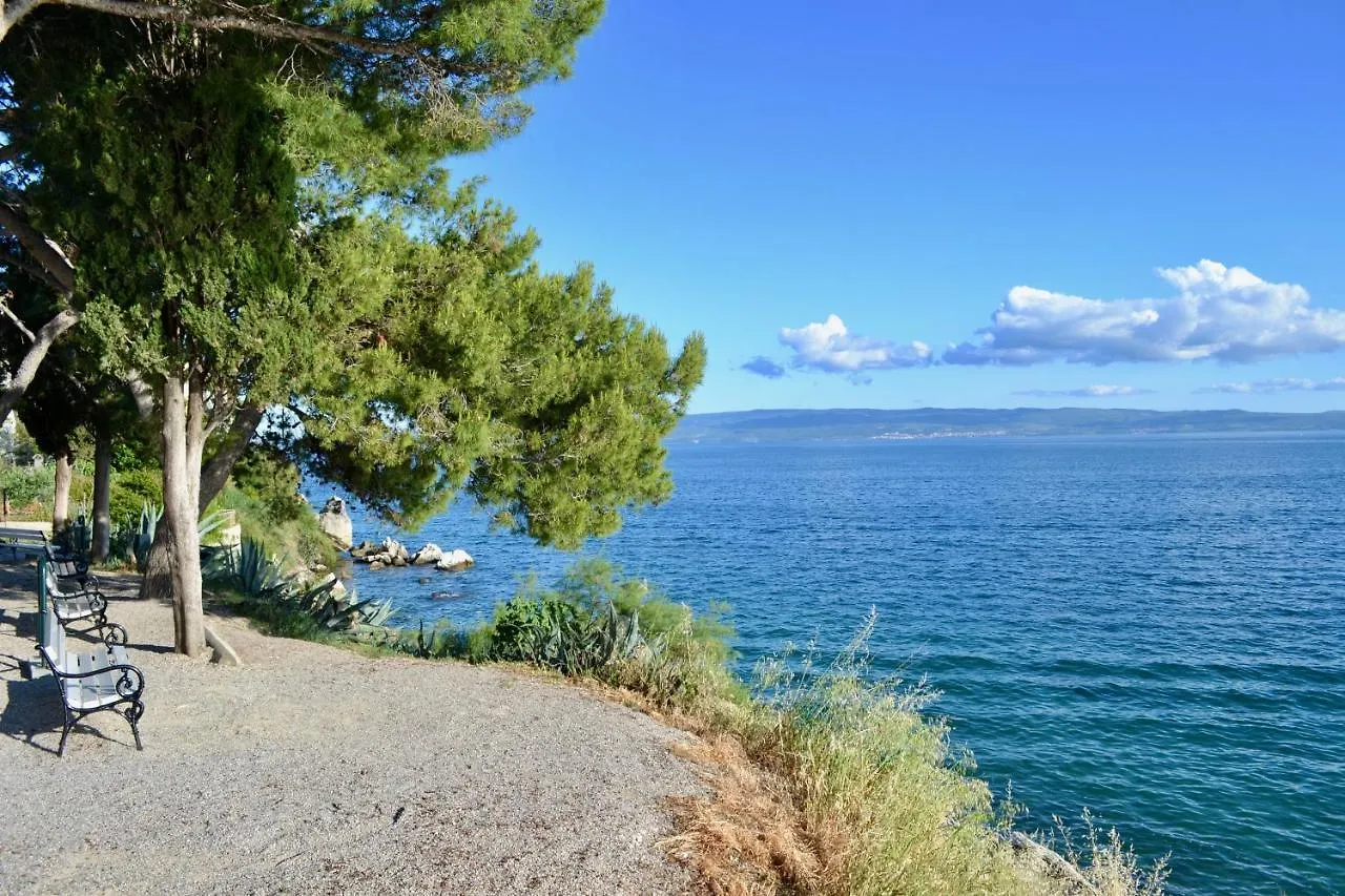 Olive Tree Apartments Split